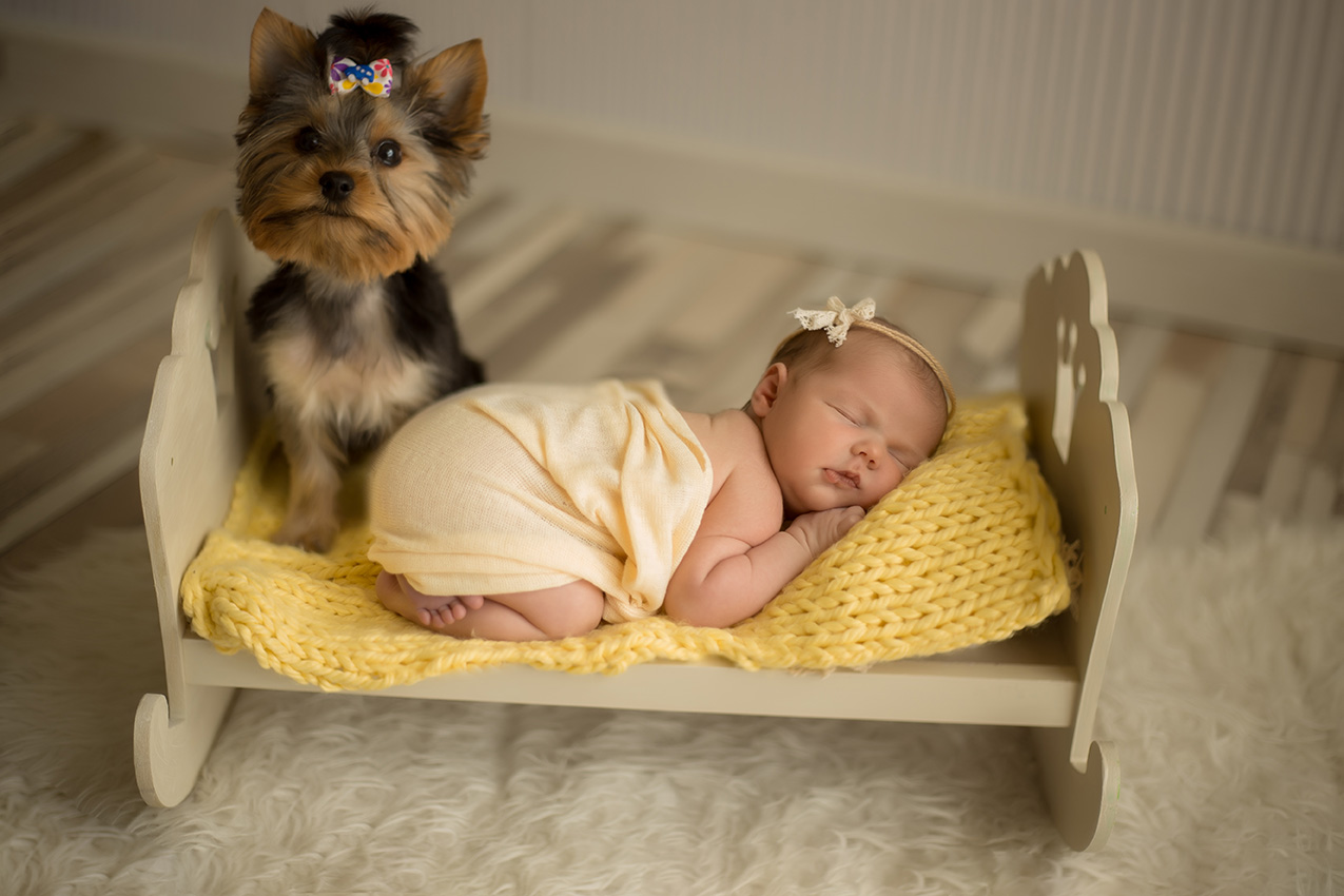 fotos bebes y mascotas salamanca (3)